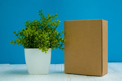 Close-up of potted plant on white table