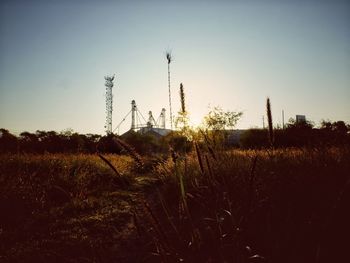 Scenic view of field against clear sky during sunset