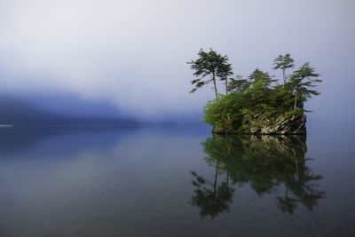 Reflection of tree in water against sky