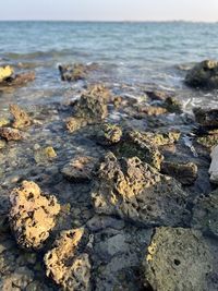 Rocks on beach