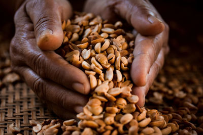 Close-up of hand holding corn