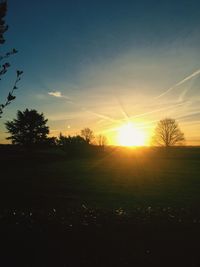 Trees against sky during sunset