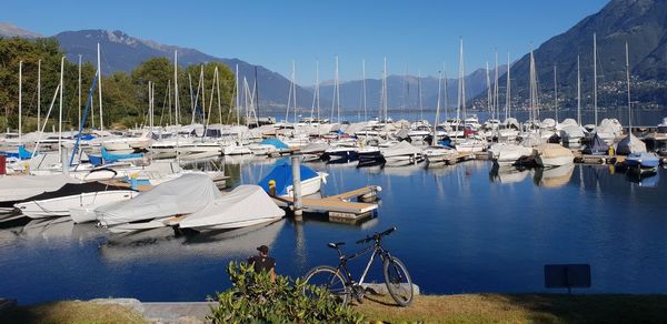 Boats moored at harbor