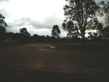 Road passing through field