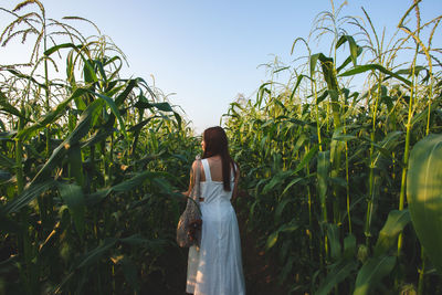 Rear view of woman standing on field against sky