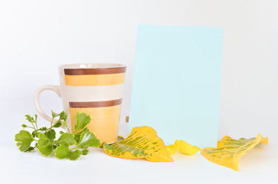 Close-up of coffee cup against white background