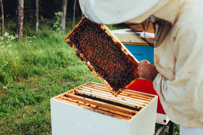 Low angle view of man working on cutting board