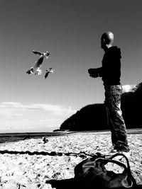 Side view of man looking at birds while standing on beach against sky during sunny day