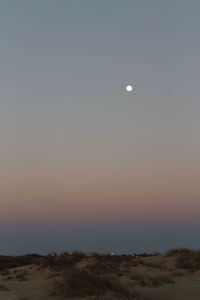 Scenic view of moon in sky at night