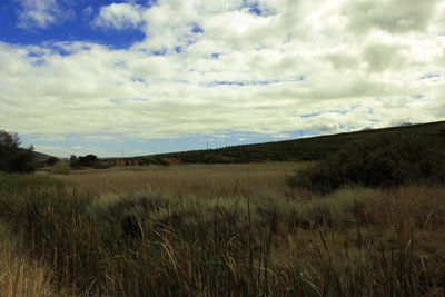 Scenic view of grassy field against cloudy sky