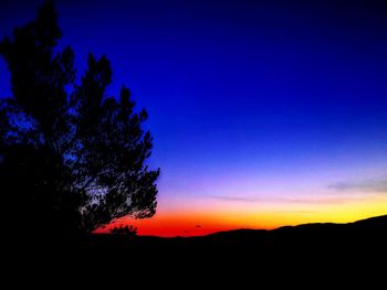 Silhouette tree against sky during sunset