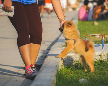 Low section of woman with dog