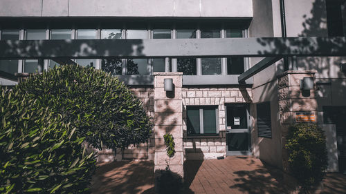 Plants growing outside building