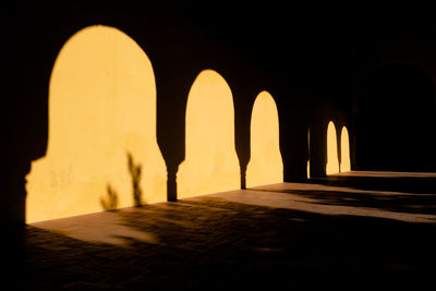 Silhouette of historical building at night