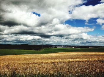 Scenic view of agricultural field against sky