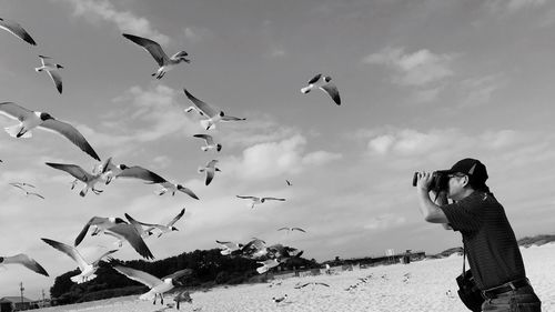 Low angle view of man photographing birds flying at beach