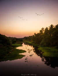 Birds flying over lake against sky during sunset