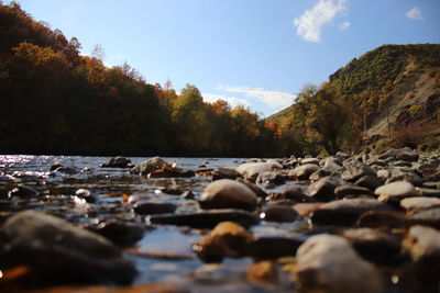 Surface level of rocks on shore against sky