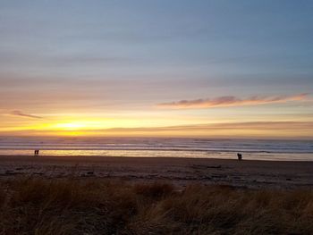 Scenic view of beach during sunset