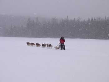 Person riding sled on snow field