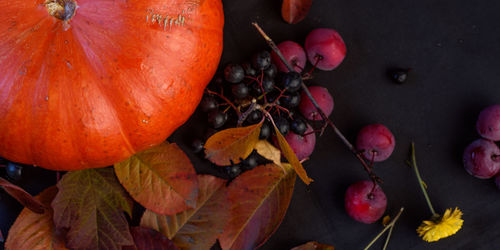 High angle view of orange leaves on plant