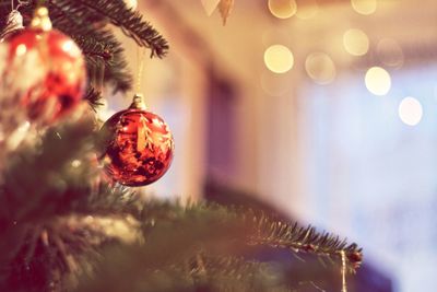 Close-up of illuminated christmas tree