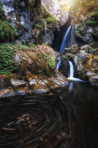 Scenic view of waterfall in forest