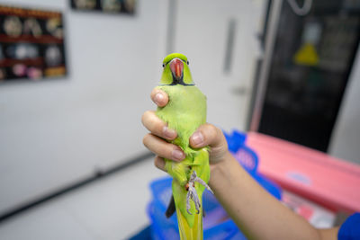 Midsection of person holding ice cream