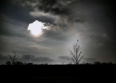 Low angle view of silhouette tree against dramatic sky