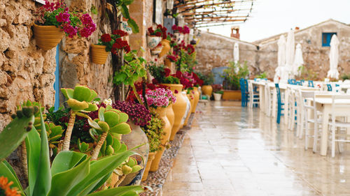 Touristic street of sicily in marzamemi city with outdoor restaurant and tables