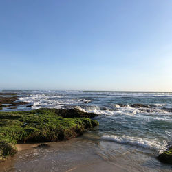 Scenic view of sea against clear sky