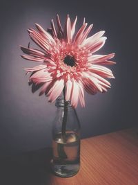 Close-up of red flower in vase on table