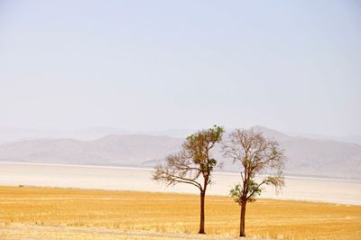 Scenic view of mountains