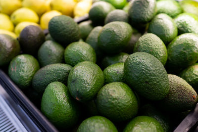 Full frame shot of avocado fruits for sale in market