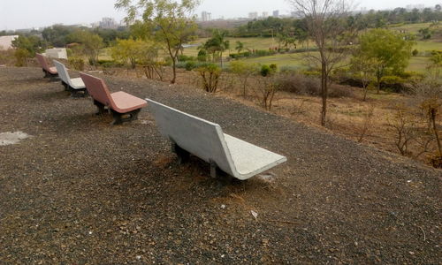 Deck chairs on tree against sky