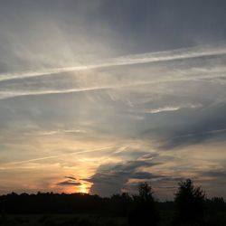 Low angle view of silhouette trees against sky during sunset