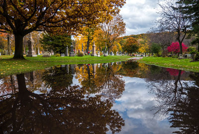 Reflection of trees in lake against sky