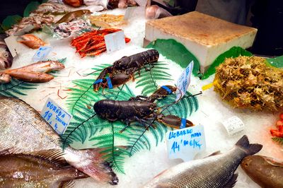 High angle view of fish for sale in market