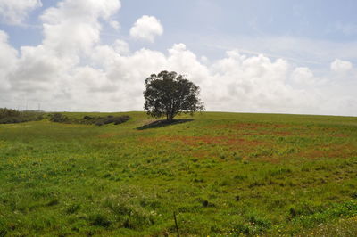 Scenic view of grassy field against cloudy sky