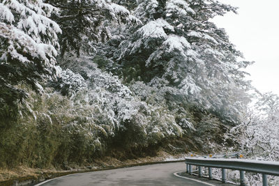 Road amidst trees during winter