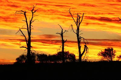 Silhouette trees on landscape against orange sky