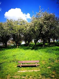Empty bench in park against sky