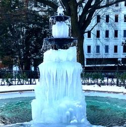 Statue of frozen trees during winter