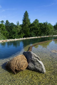 View of duck in lake