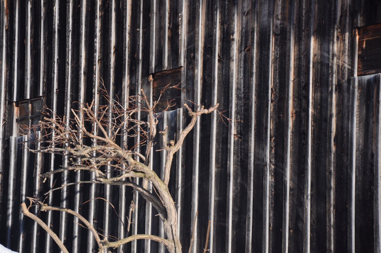 CLOSE-UP OF RUSTY METAL FENCE