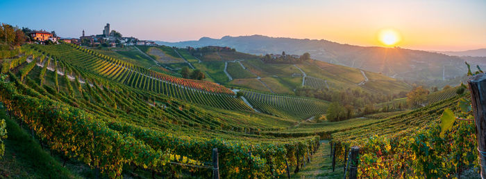 Scenic view of agricultural field against sky during sunset