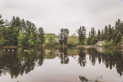 Scenic view of lake and trees against sky