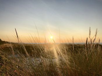 Scenic view of sunset over land