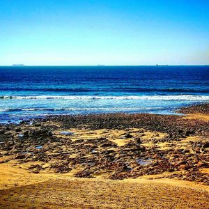 Scenic view of beach