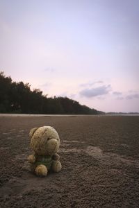 Close-up of stuffed toy on field against sky during sunset